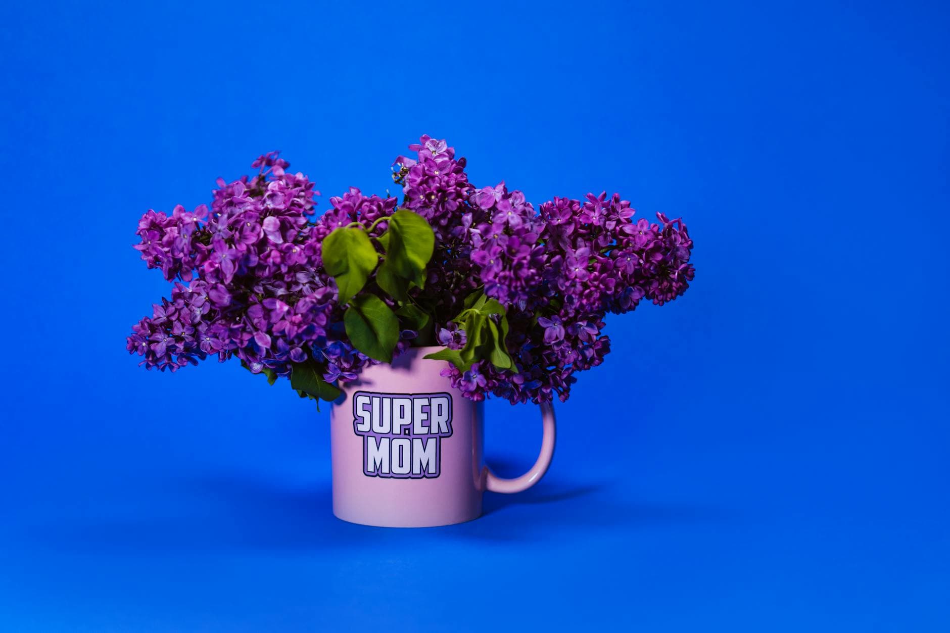 Related stock photo