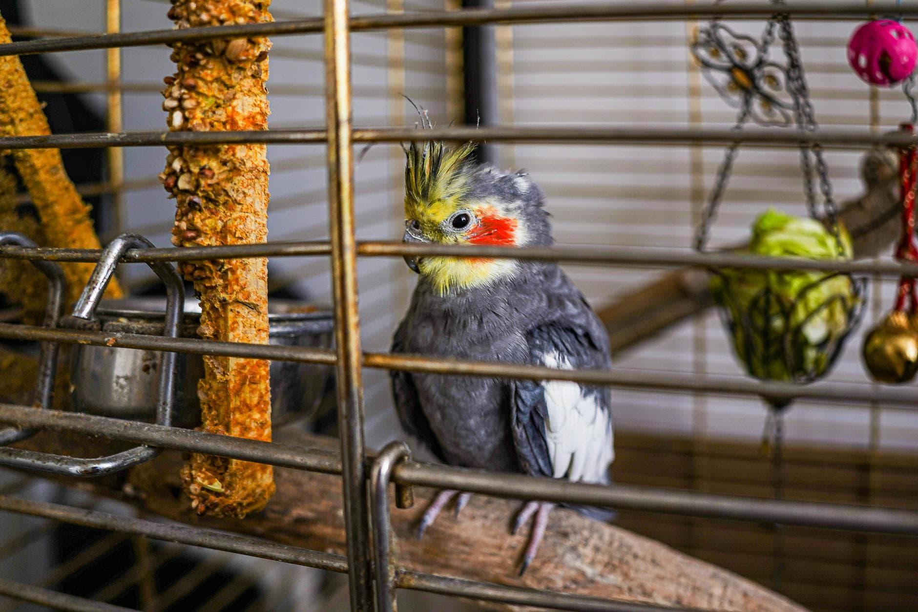 Related stock photo