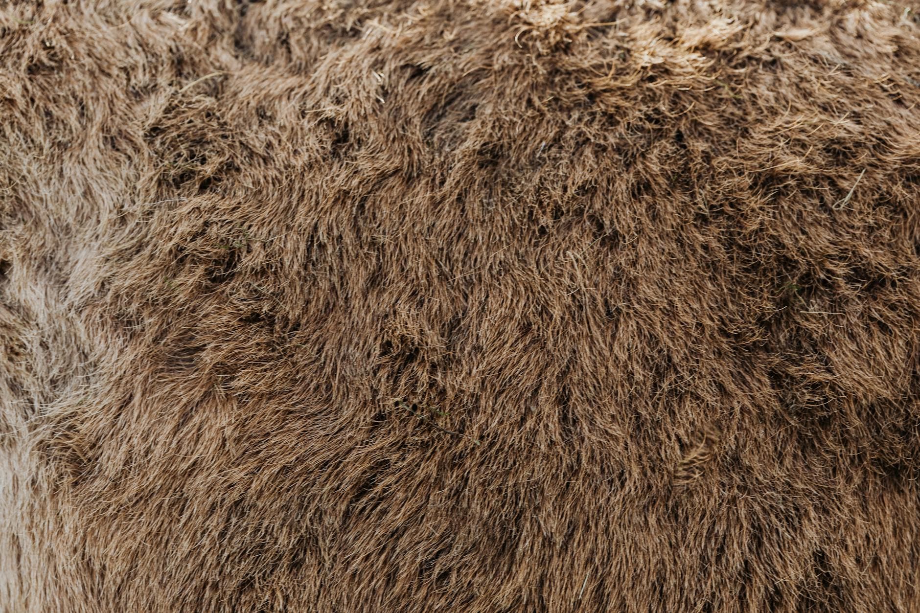 Etsy will ban animal fur after activist pressure, sparking backlash