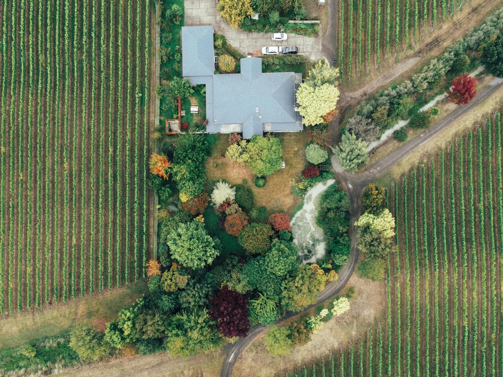 Tiny house at French vineyard blends luxury and eco-design
