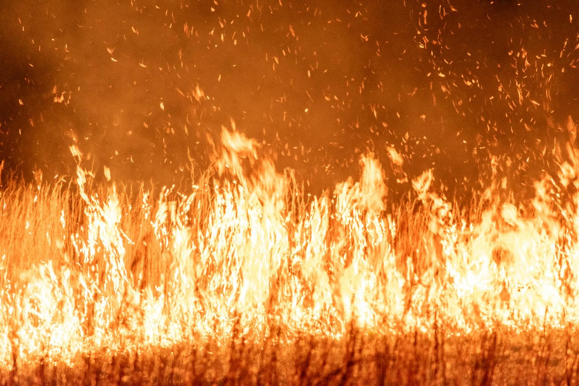 Fire warning issued for Apache, Alpine area moves to SET status