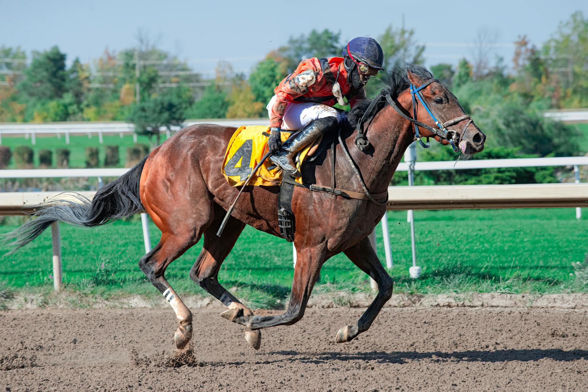 Russell seeks history with undefeated Laurel Park colt Taj Mahal in Preakness