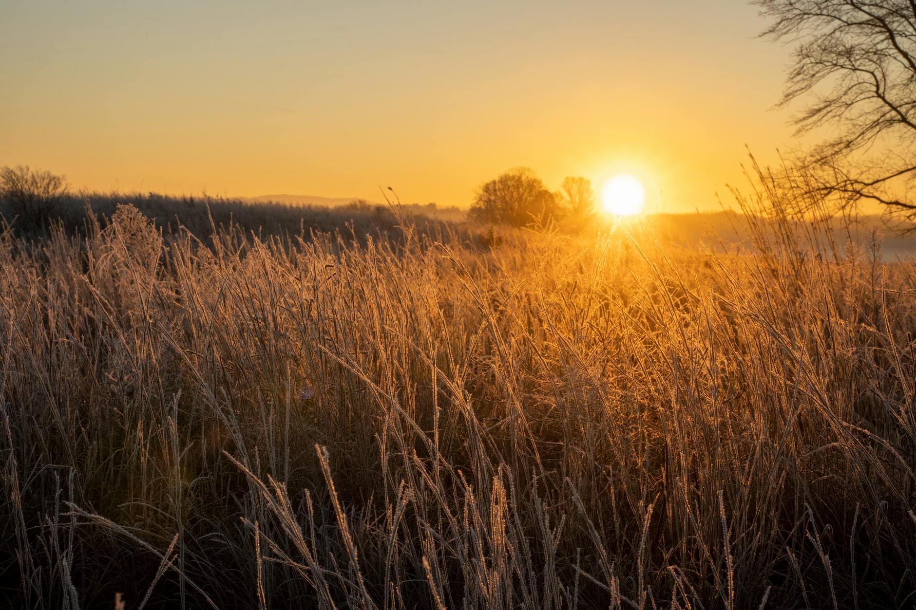 Frost advisory issued for McDowell County as temperatures dip overnight