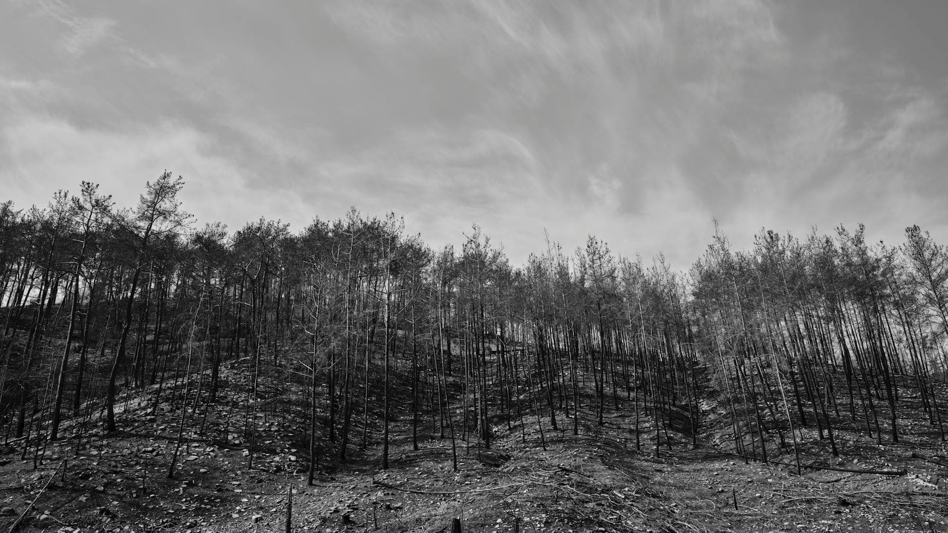 Coconino National Forest plans 11,000-acre prescribed burn near Clints Well