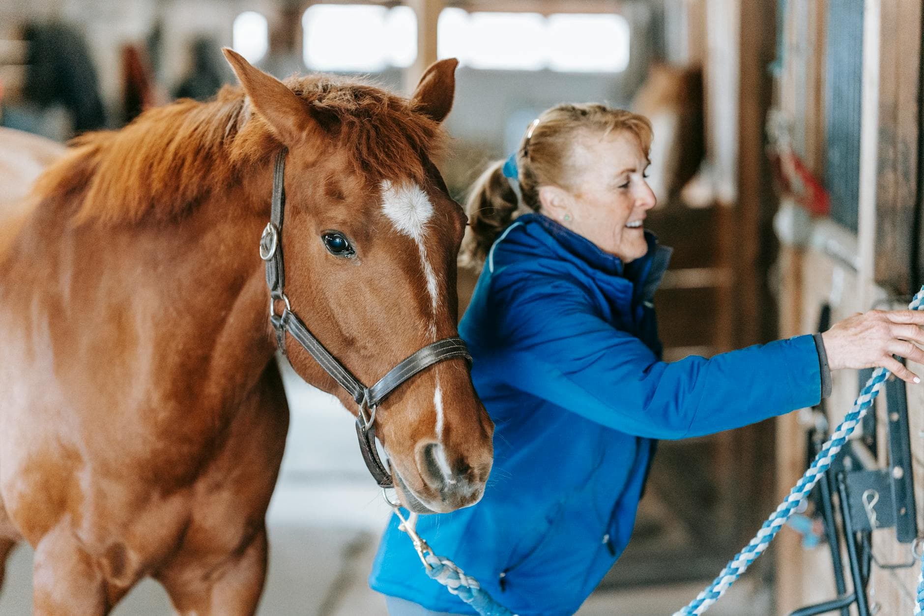 Appalachian Horse Center opens in Cornettsville, spotlighting Perry County horses