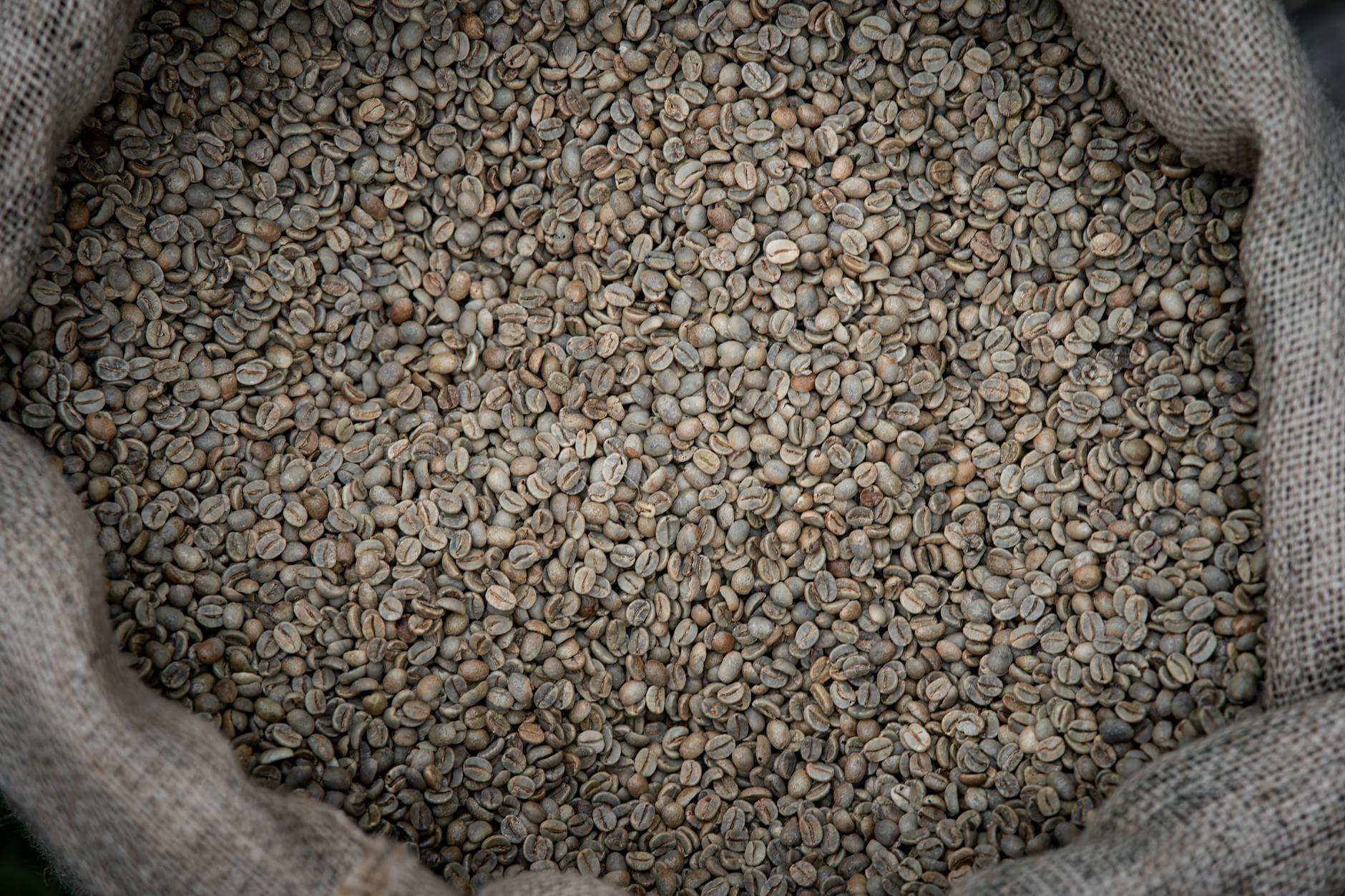 India coffee exports jump 27% on robusta and instant demand