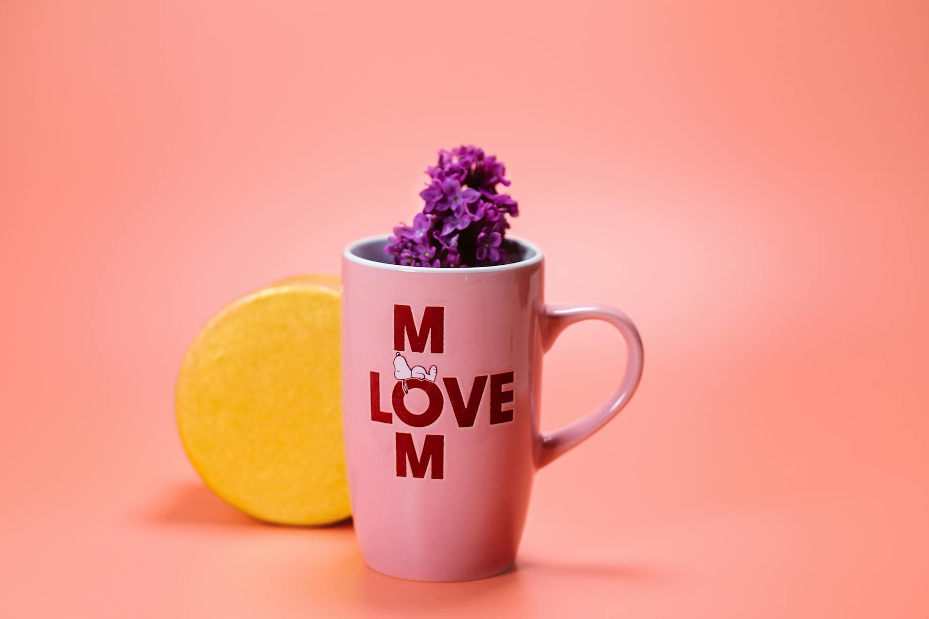 Related stock photo