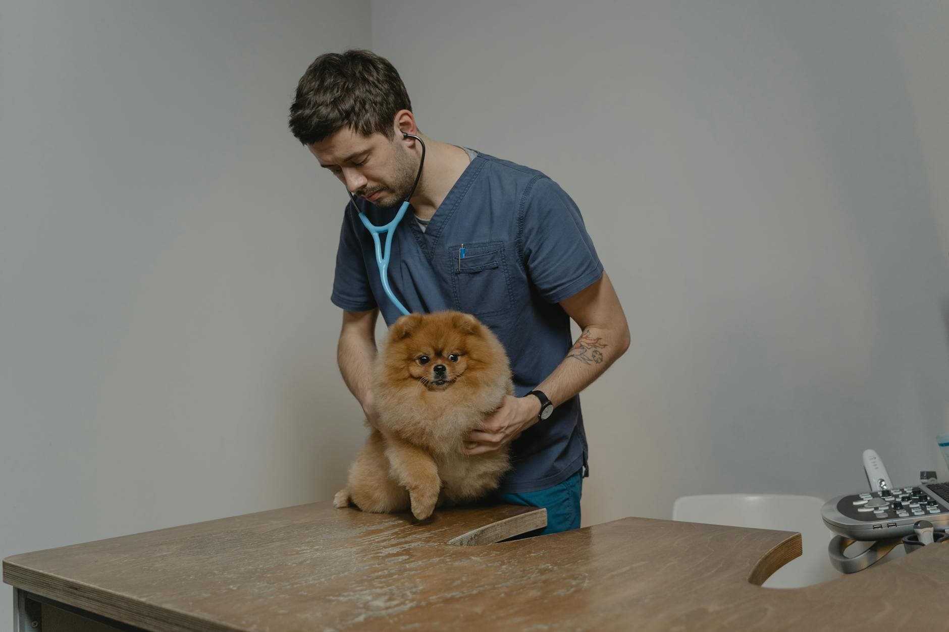 Related stock photo