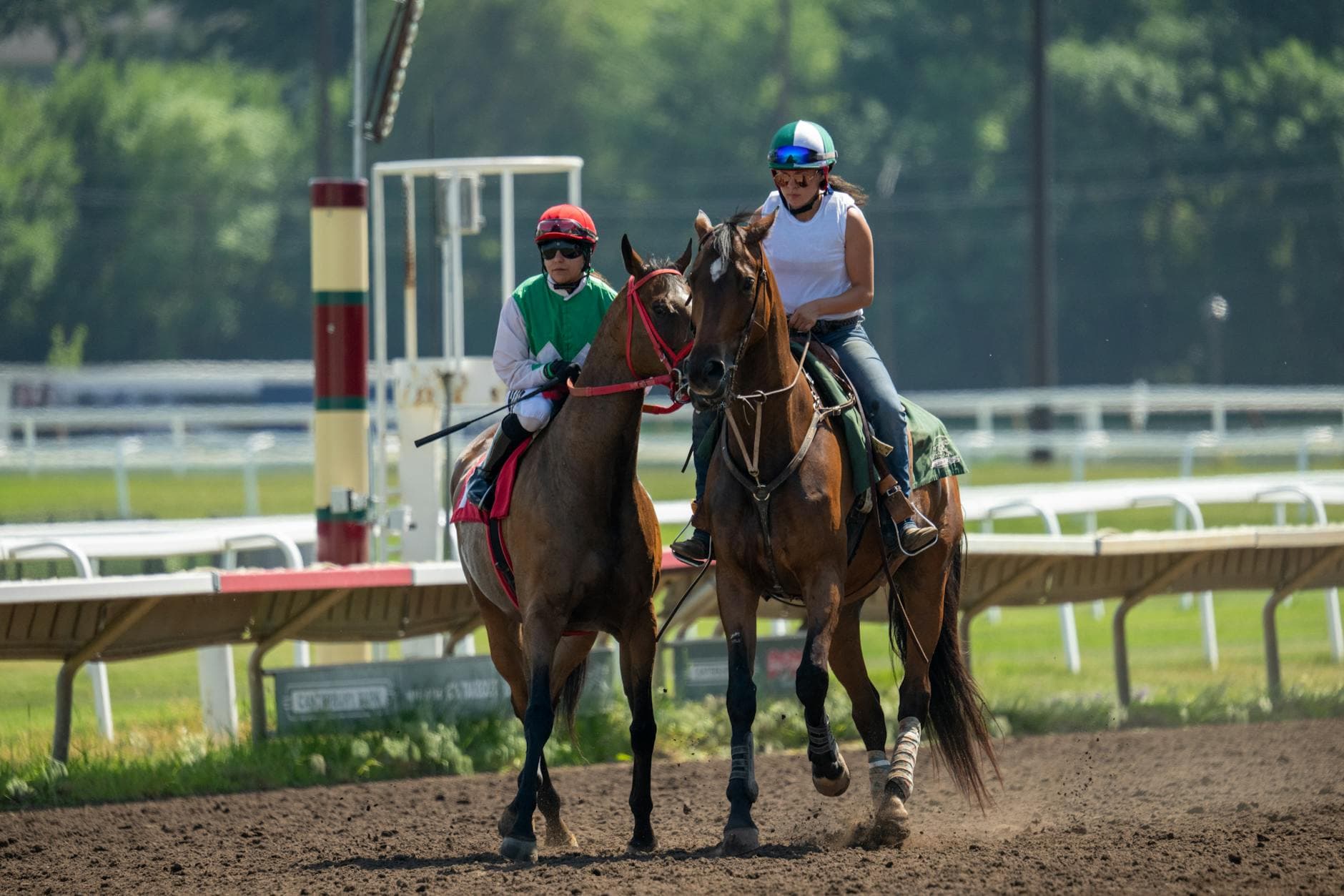 Colt starting competition streams live from Holmes County fairgrounds