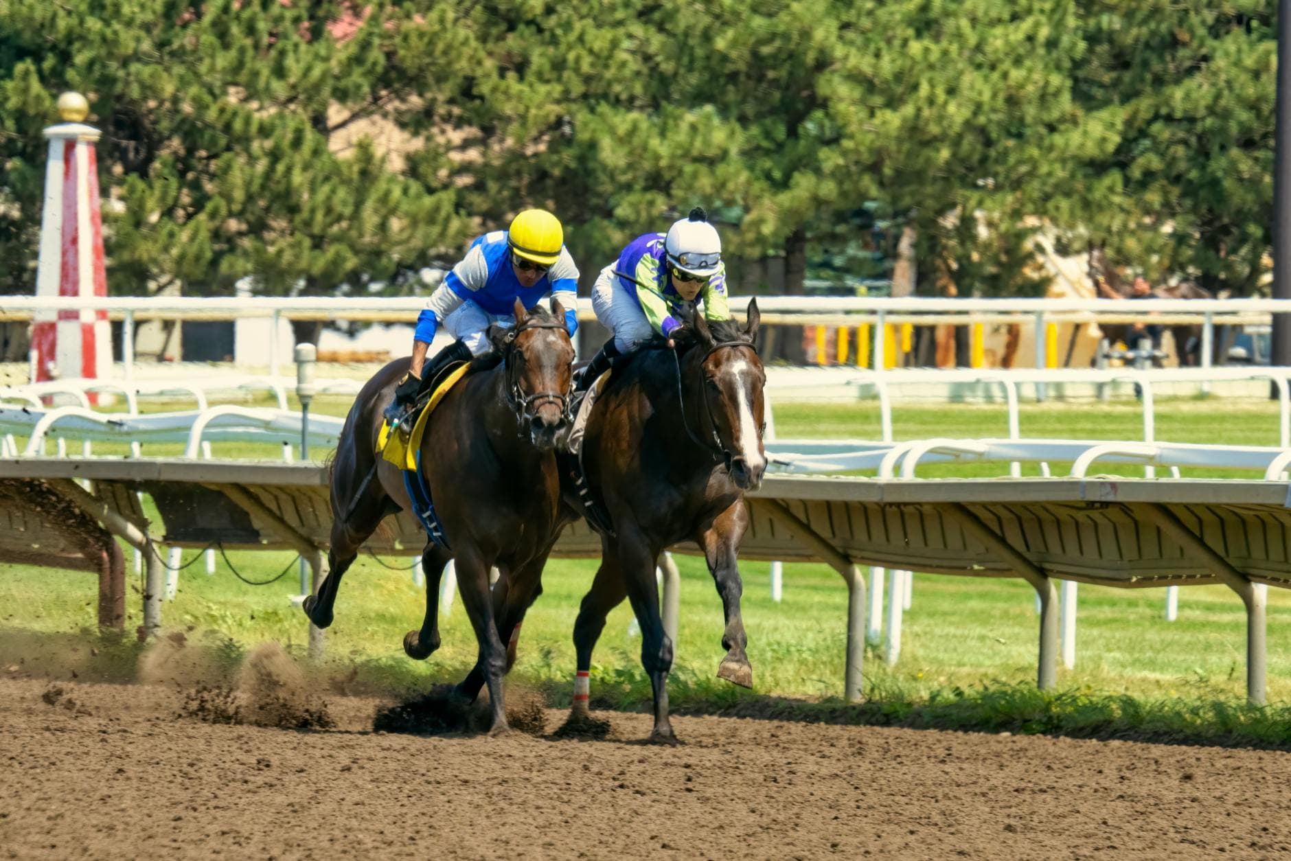 Midnight Horizon set for U.S. debut in Santa Anita turf sprint