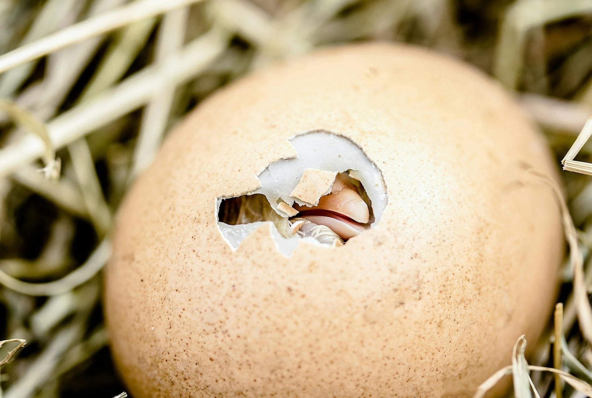Related stock photo