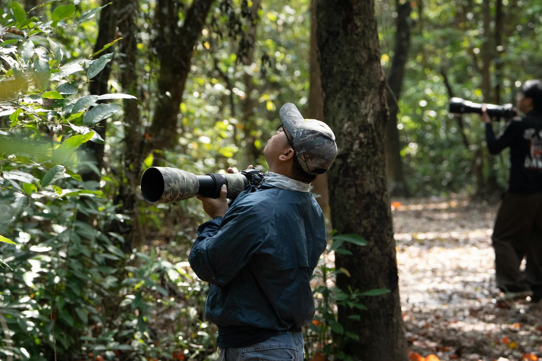 Birding may help protect the brain from dementia, study finds