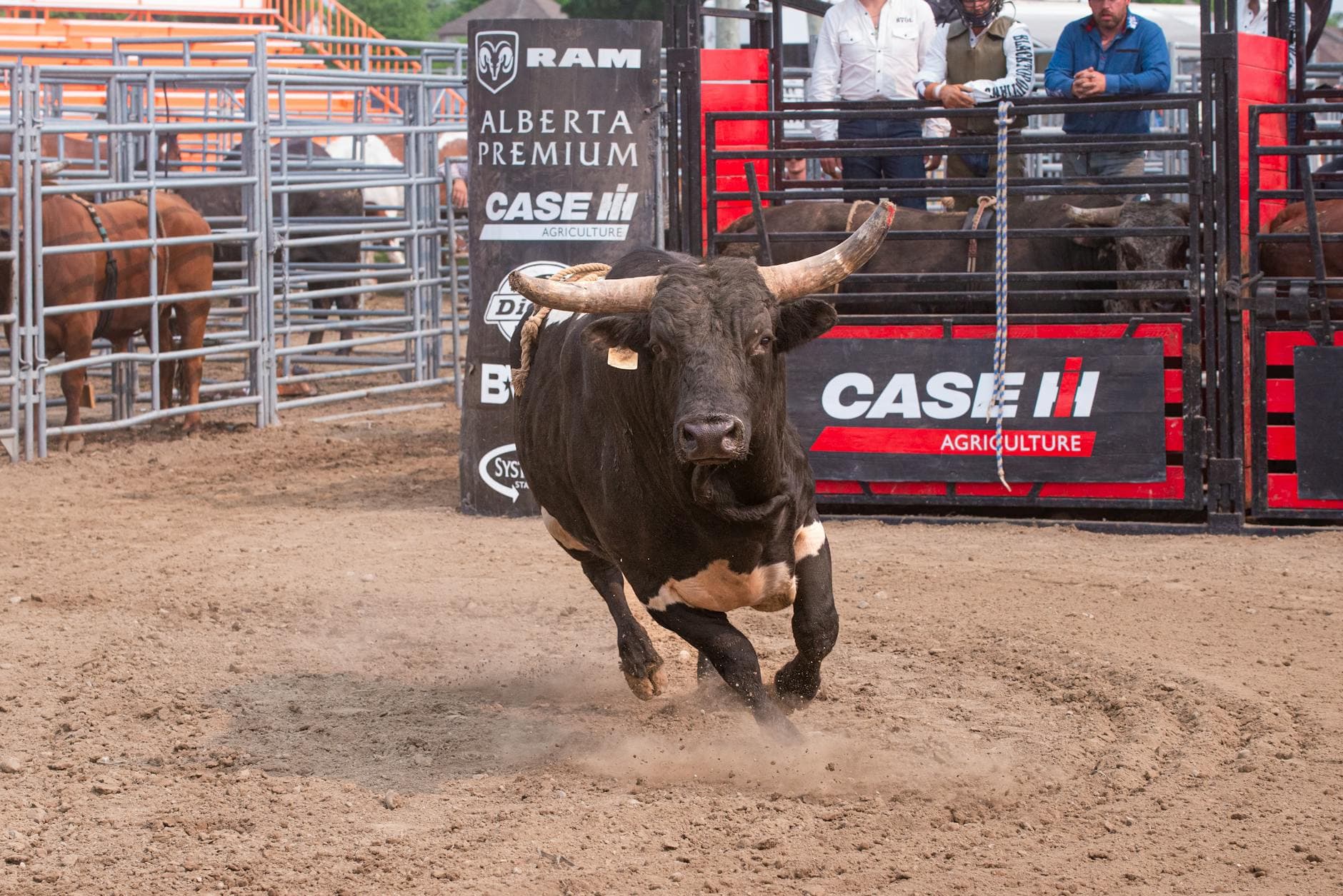 North Idaho State Fair countdown begins with concerts, rodeo and family fun