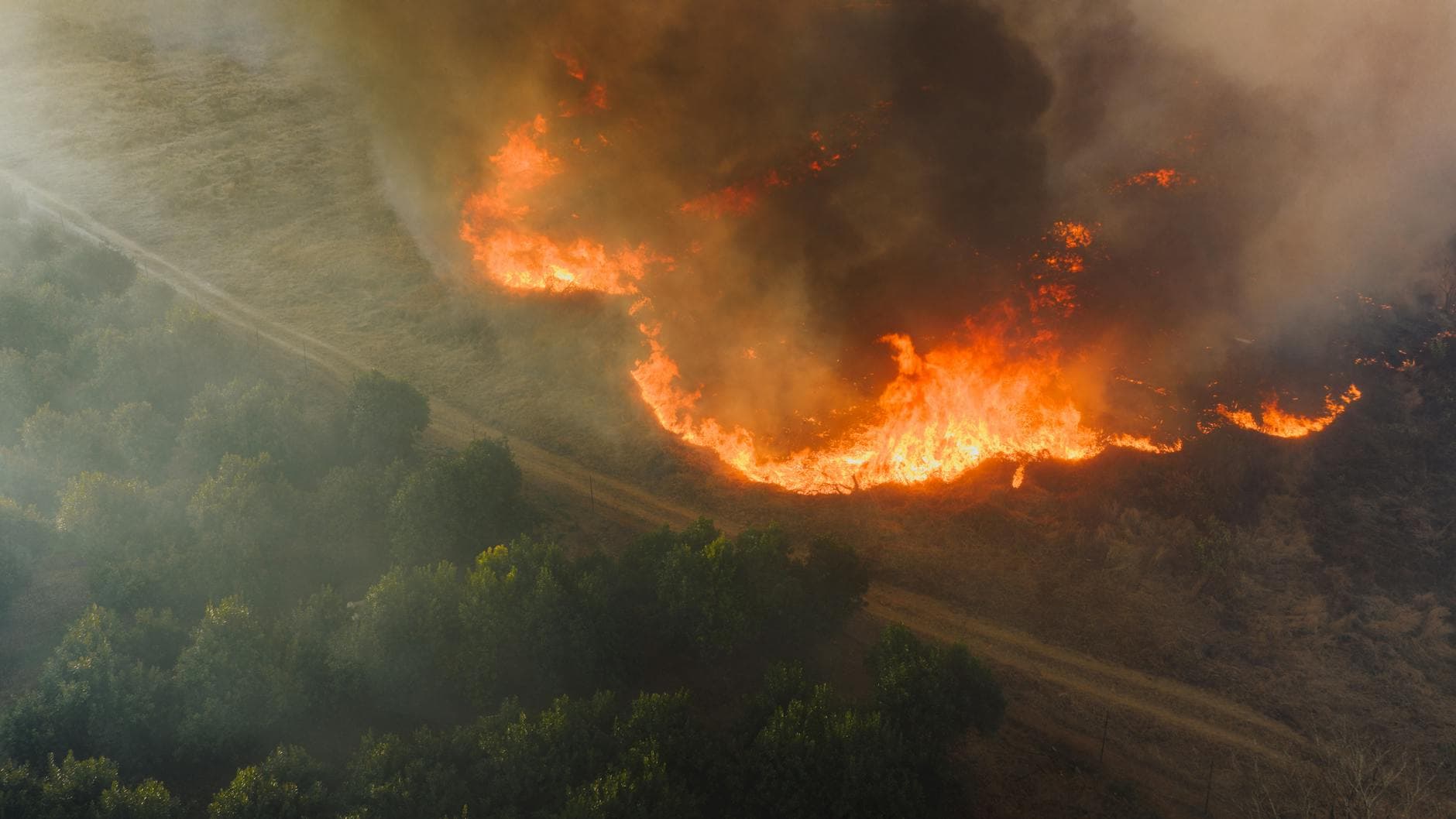 State fire officials warn rain won't end Hernando wildfire risk