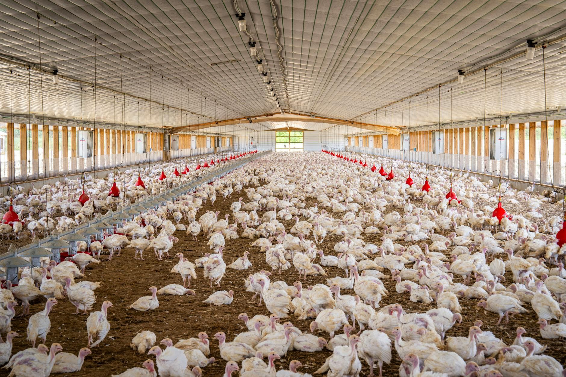 Lt. Gov. Beckwith visits Jasper's Farbest Foods, highlights local turkey industry