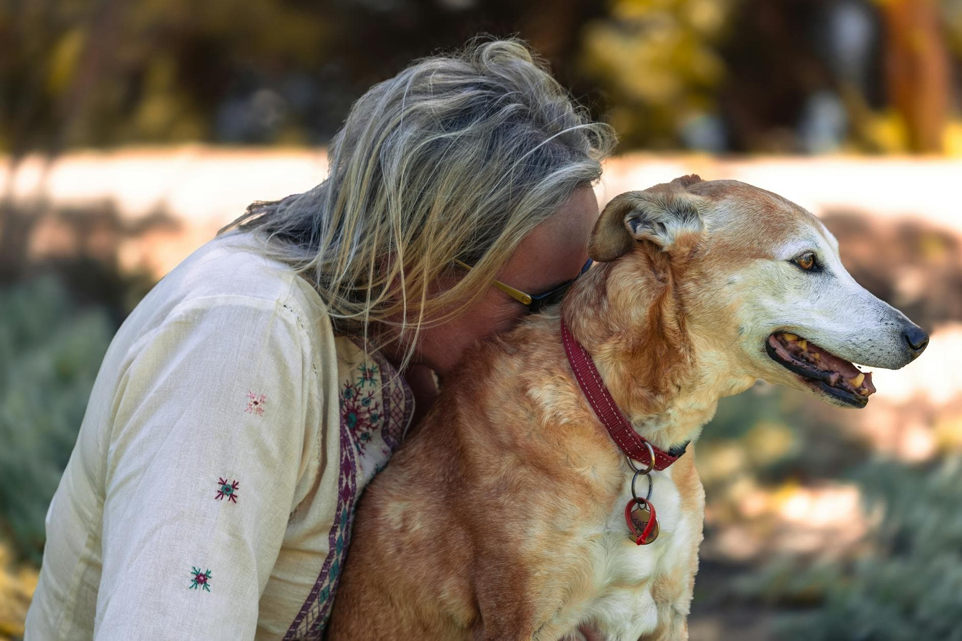 National Pet Month spotlights the bond between dogs and their people
