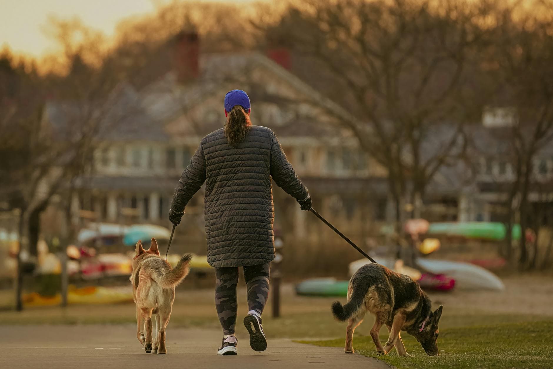 Holmdel dog park marks five years with community celebration