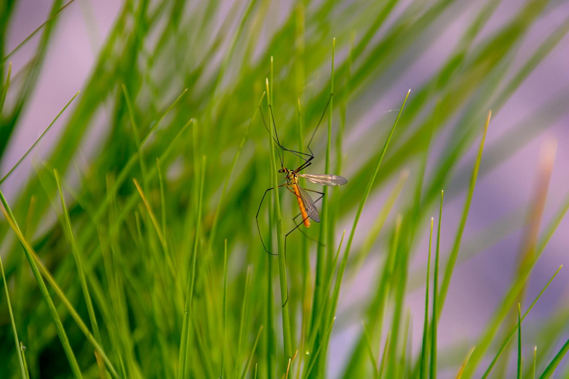 Related stock photo