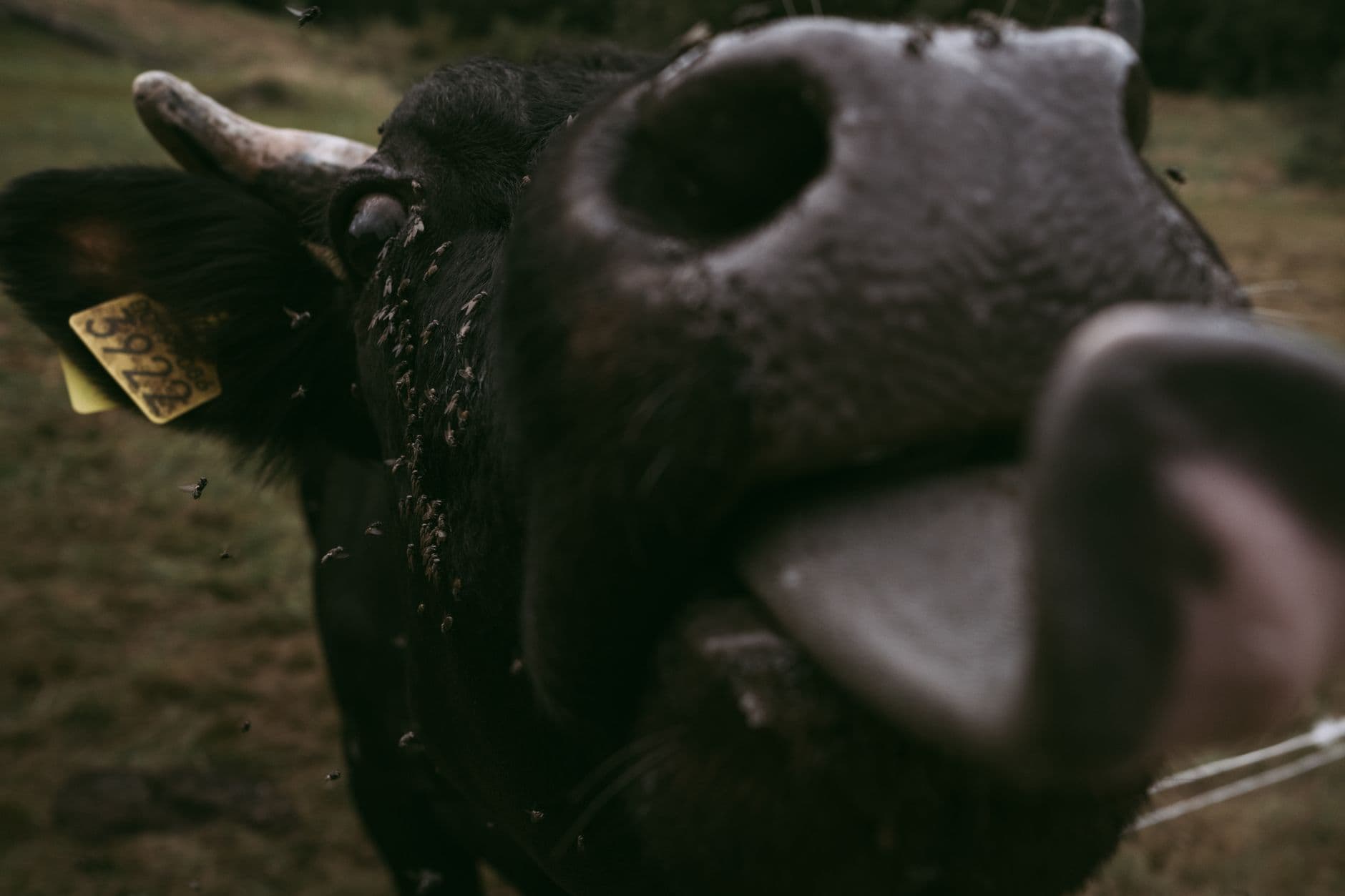 Related stock photo