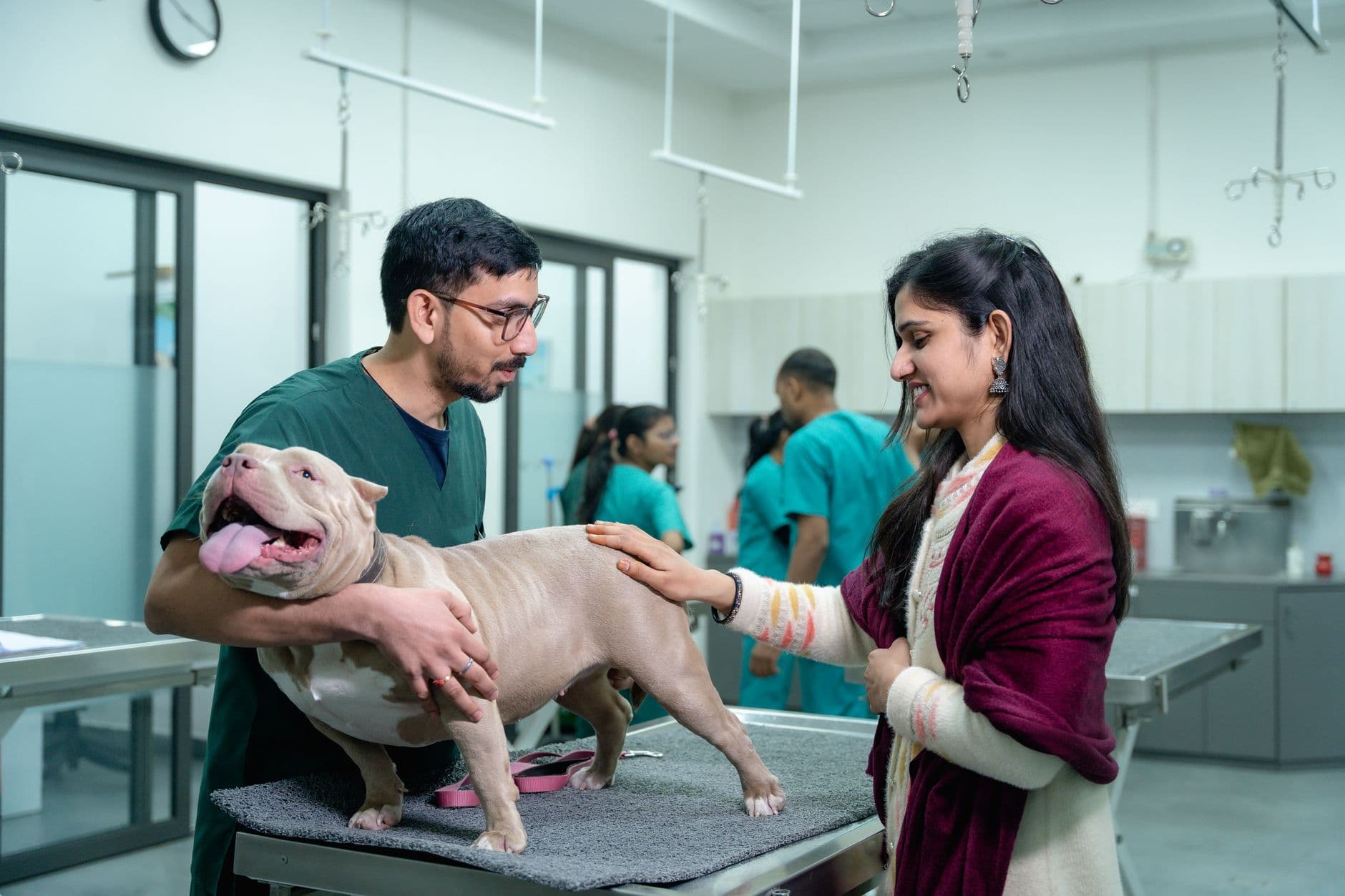 Pet insurance boom gives owners more room for other pet spending
