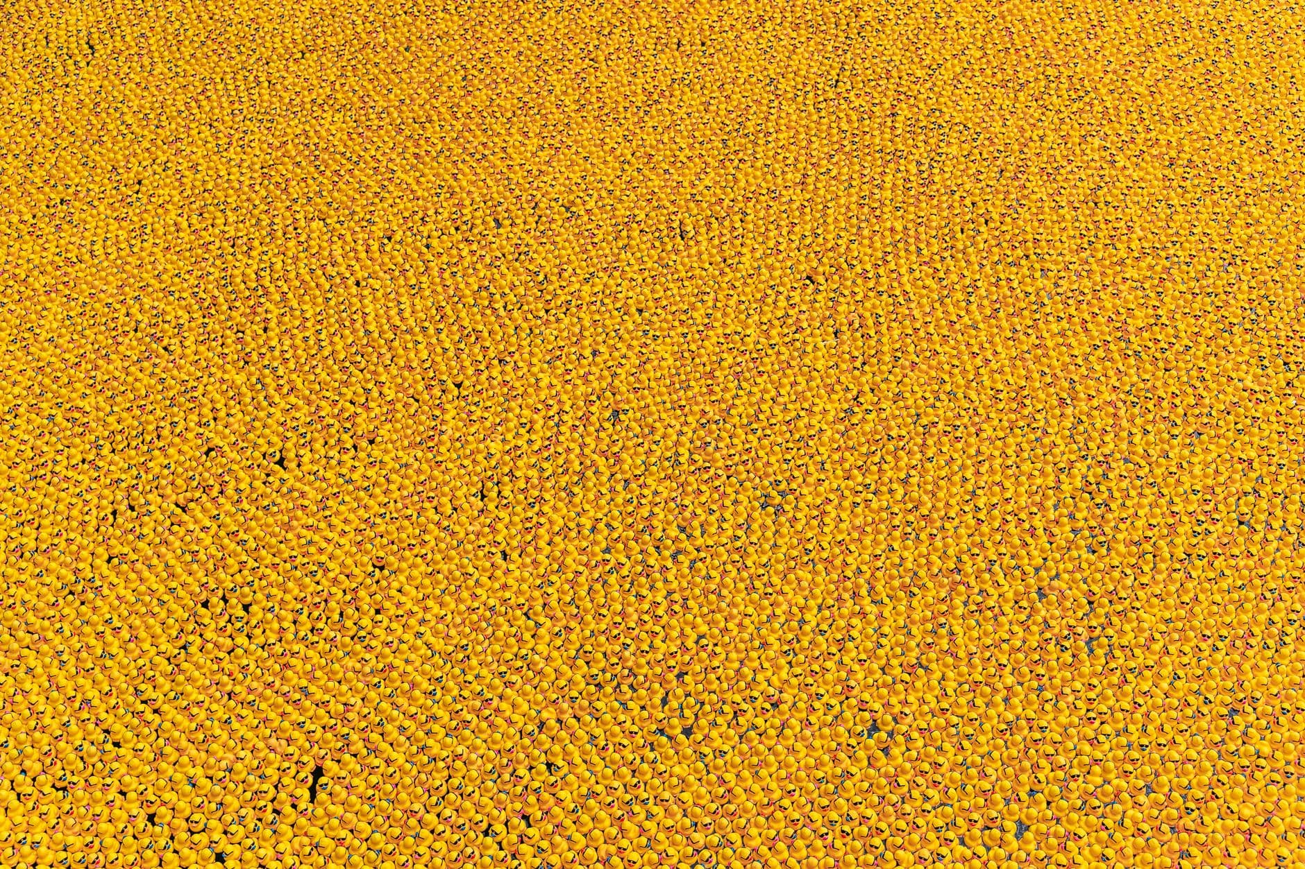 ECCLPS duck drop fundraiser to launch at tractor pull
