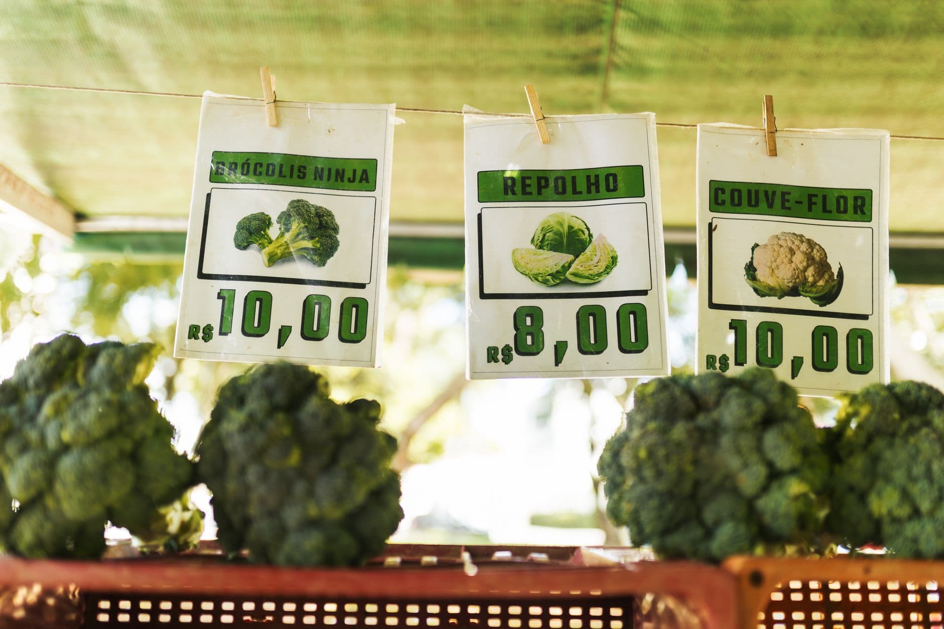 Late freeze cuts Lewisburg Farmers Market produce and vendor choices