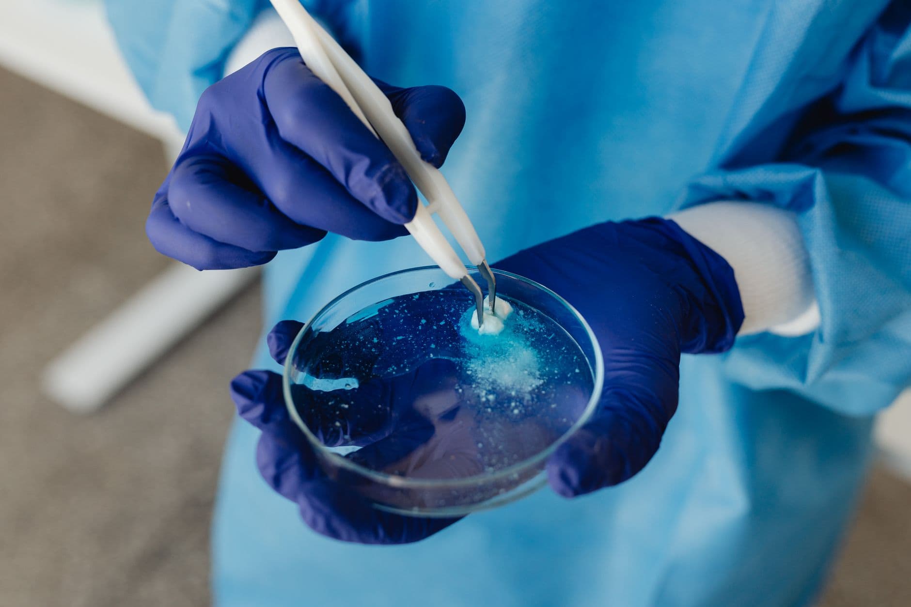 Study maps three phases for microbial proteins to reach mainstream food use