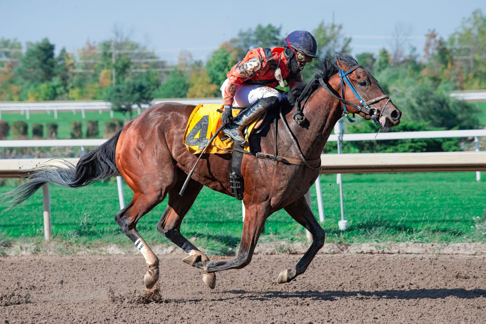 Concrete Glory wins Claiming Crown Horse of the Year after repeat victory
