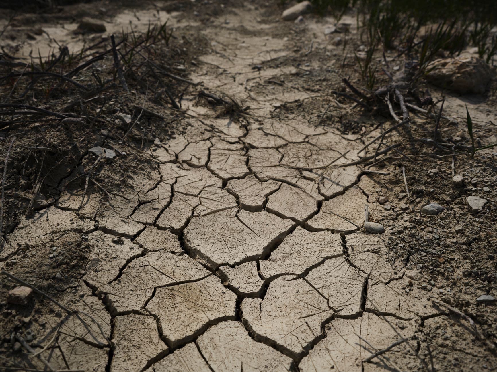 Federal drought disaster declaration opens farm relief in McDowell County