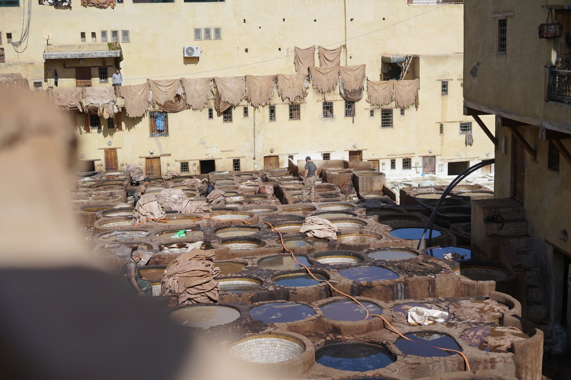 Ancient tanning methods still shape modern leathercraft workshops