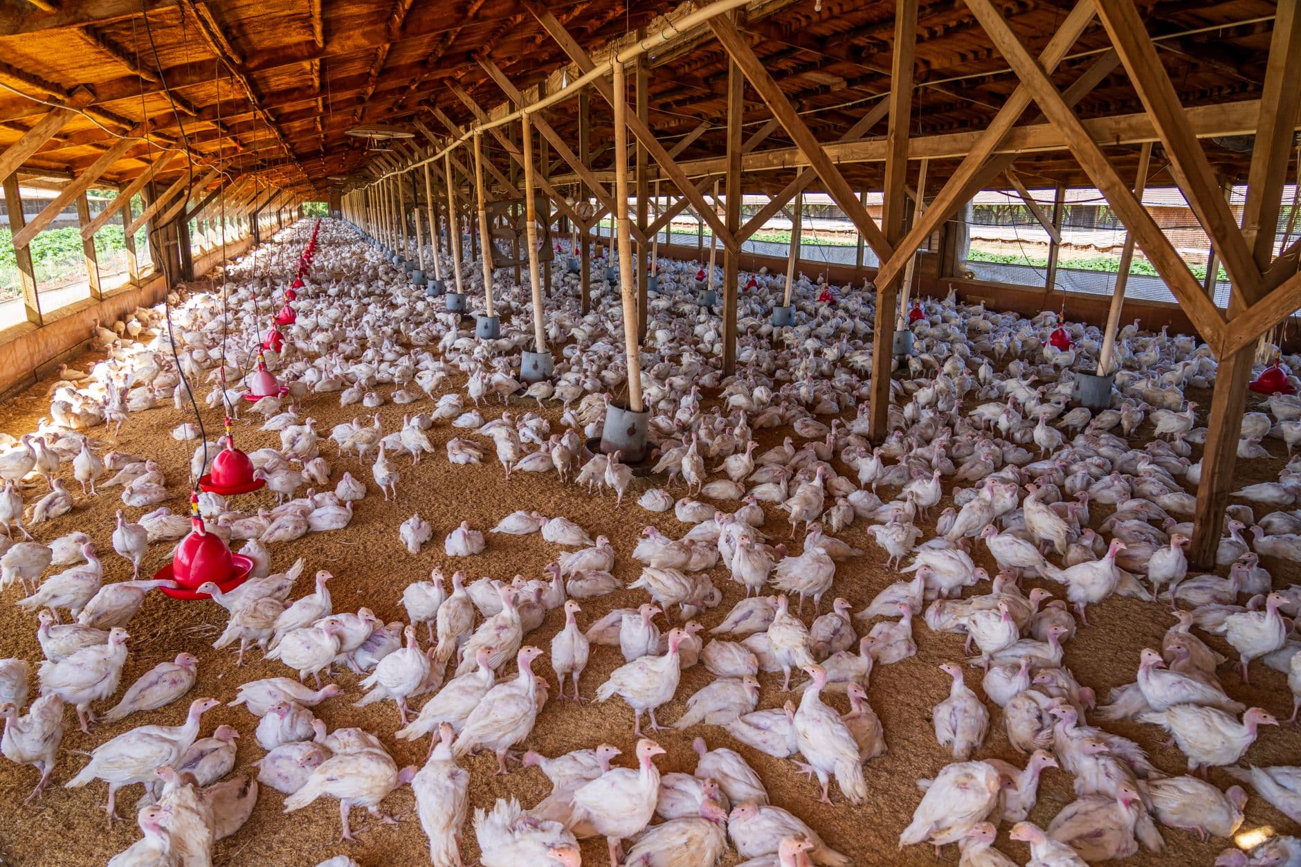 Union County Planning Commission to review poultry barn plan, time extension