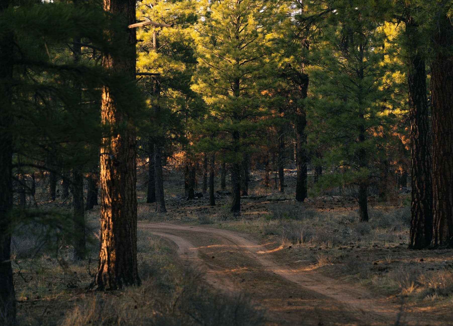 Buena Vista County Conservation Park offers trails for every visit