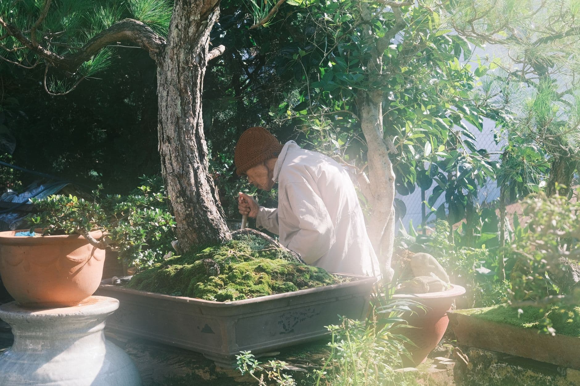 Baikoen Bonsai Club shares July update after Japan trip and family health issues
