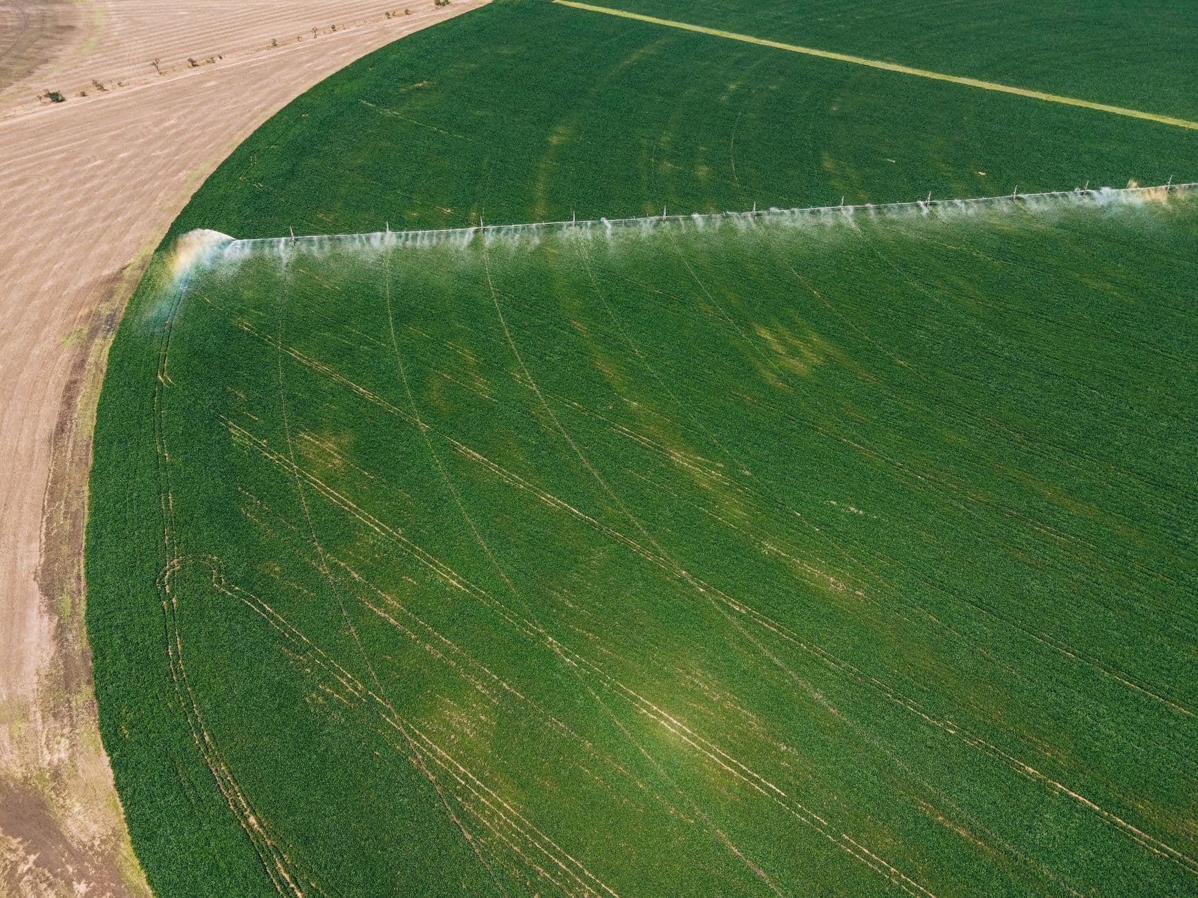Research center helps Texas County farmers adapt to harsh conditions