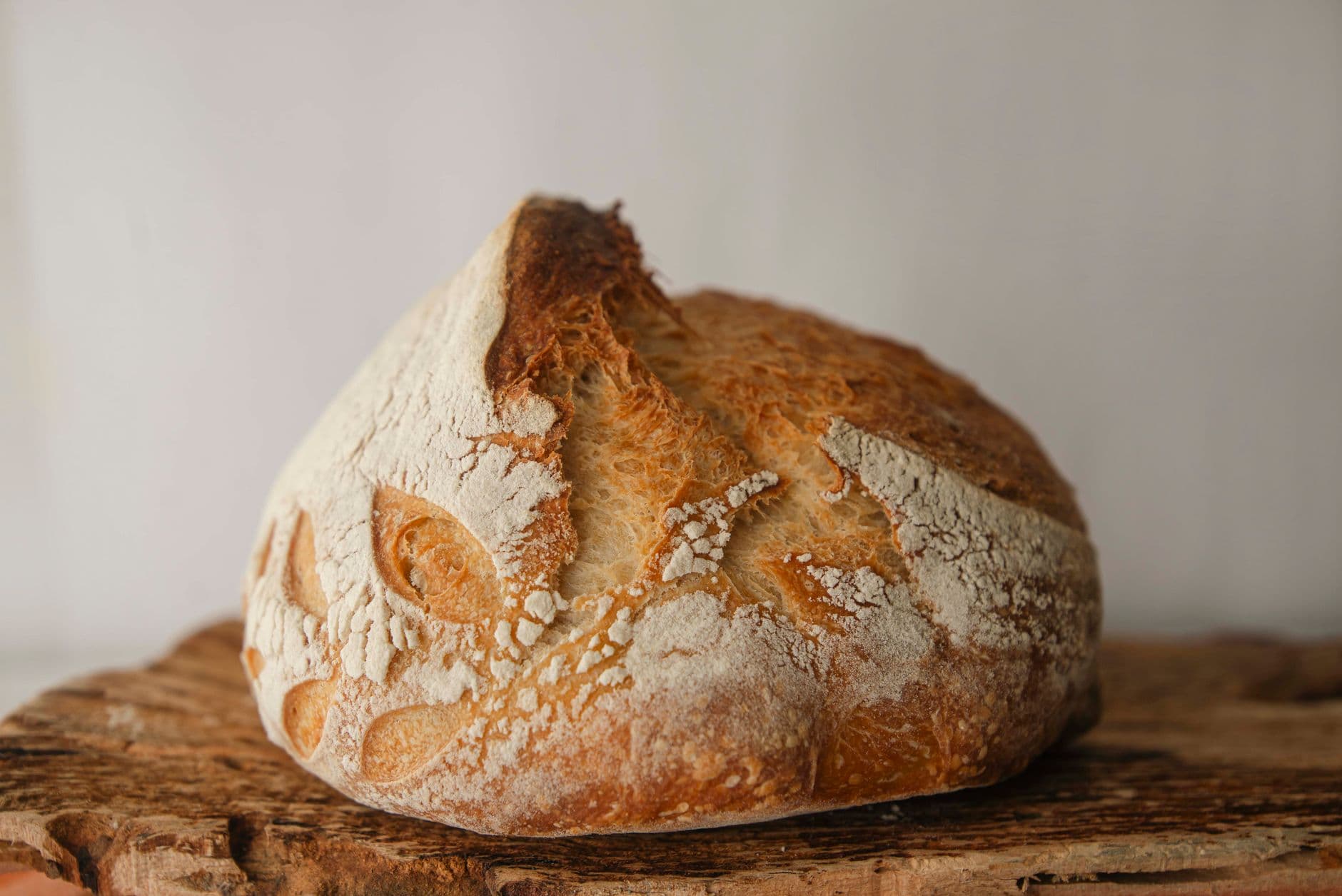 Gluten-free sourdough starts with a strong, patient starter