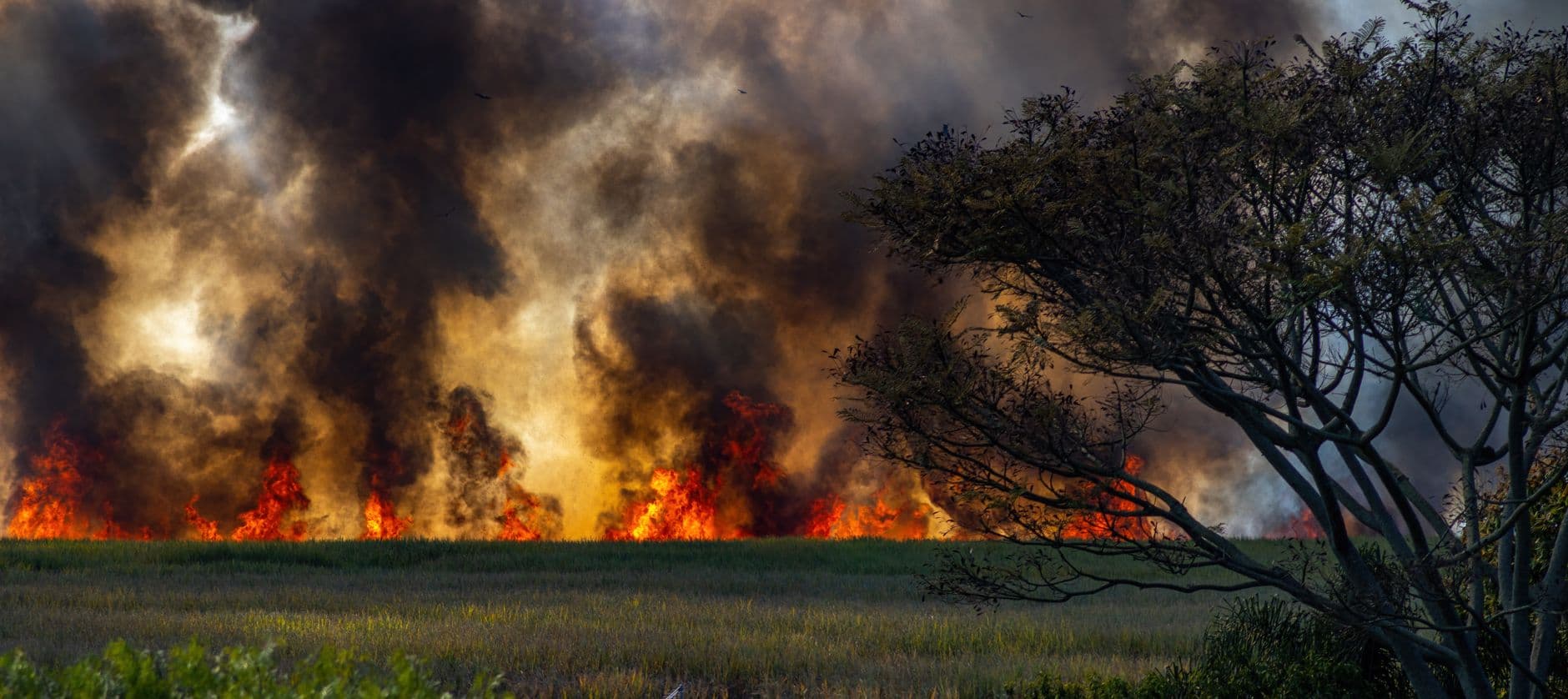 Wildfire and drought fears are driving down Southwest Colorado visits