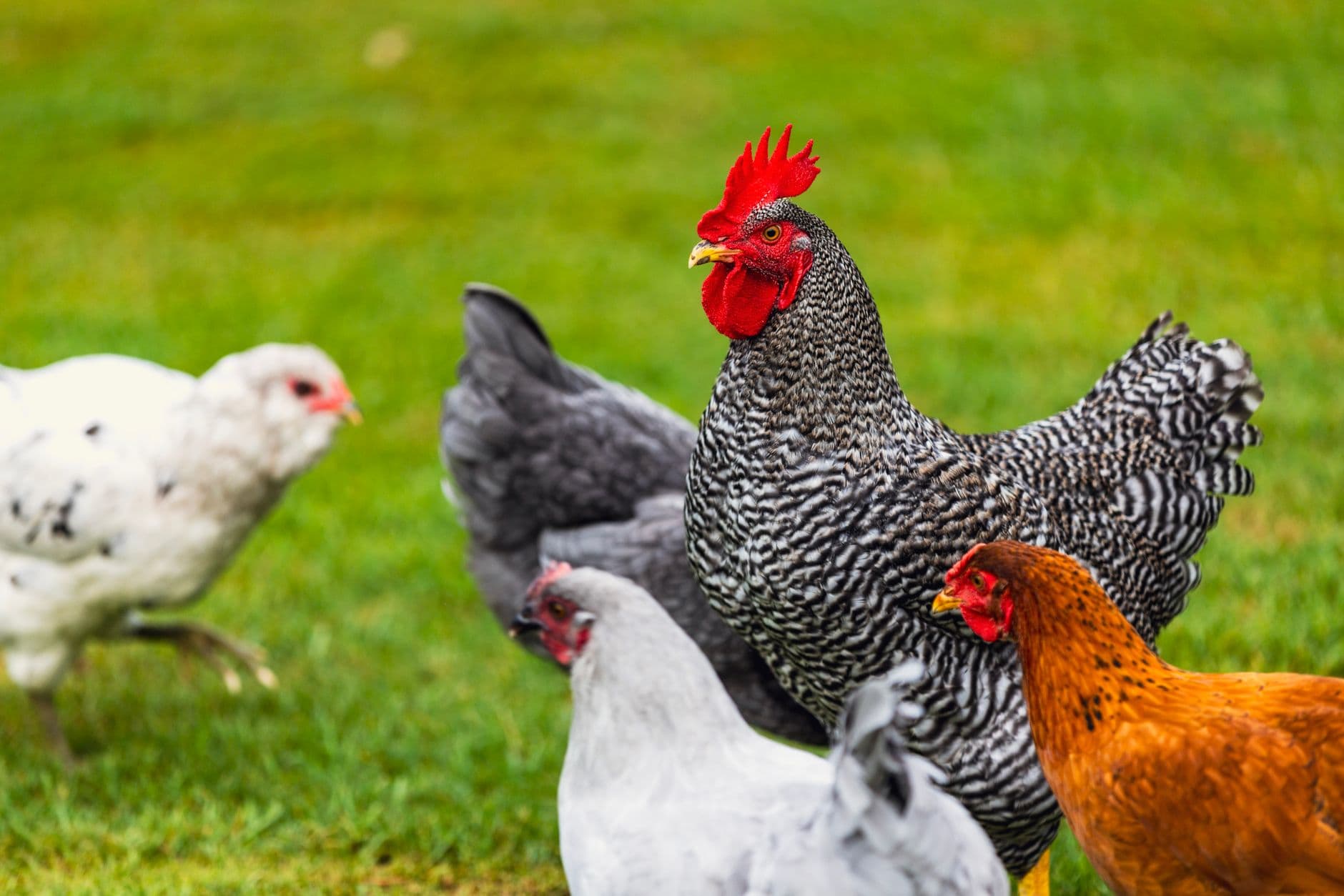 Related stock photo