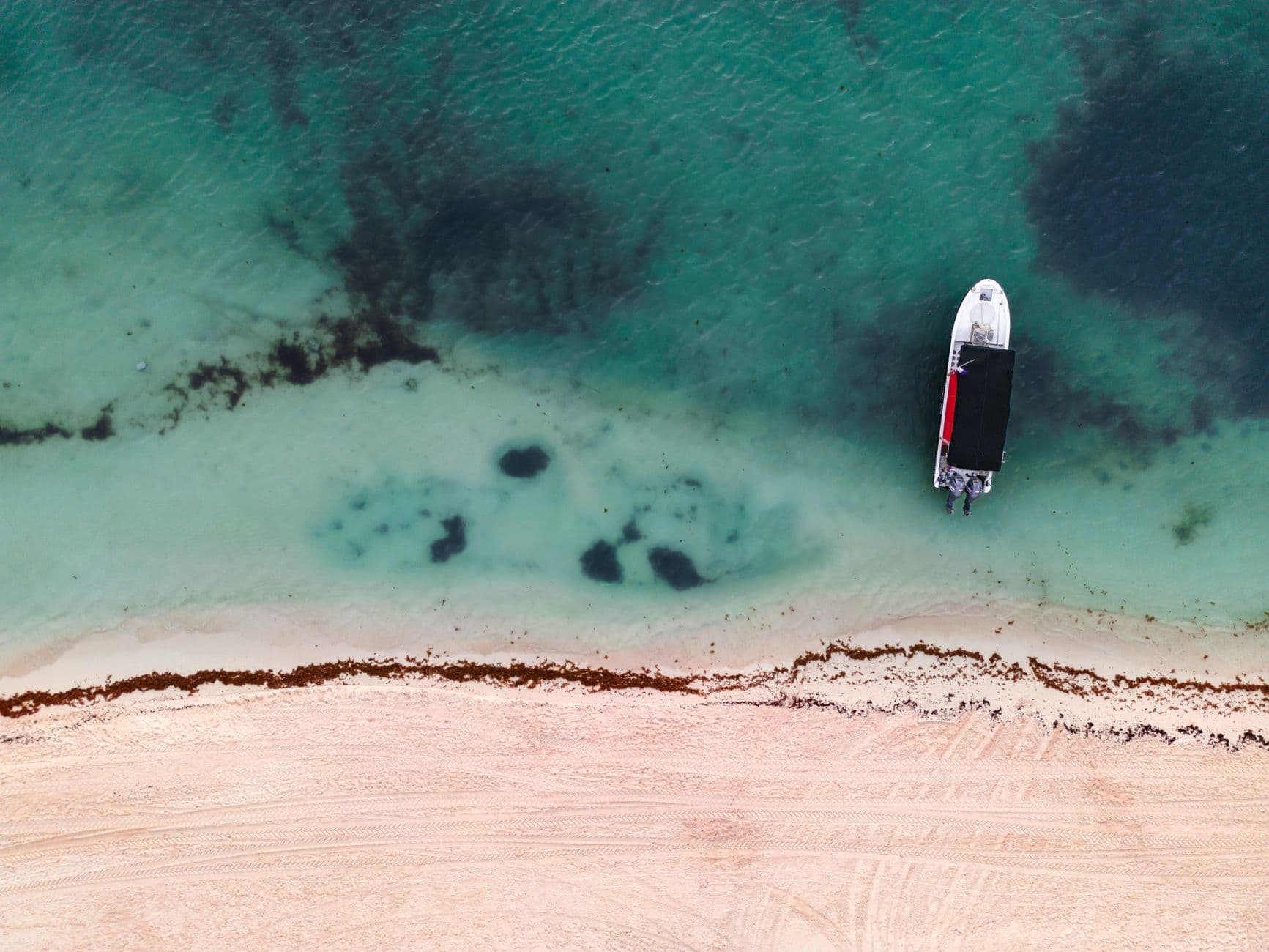 Caribbean governments race to contain growing sargassum crisis