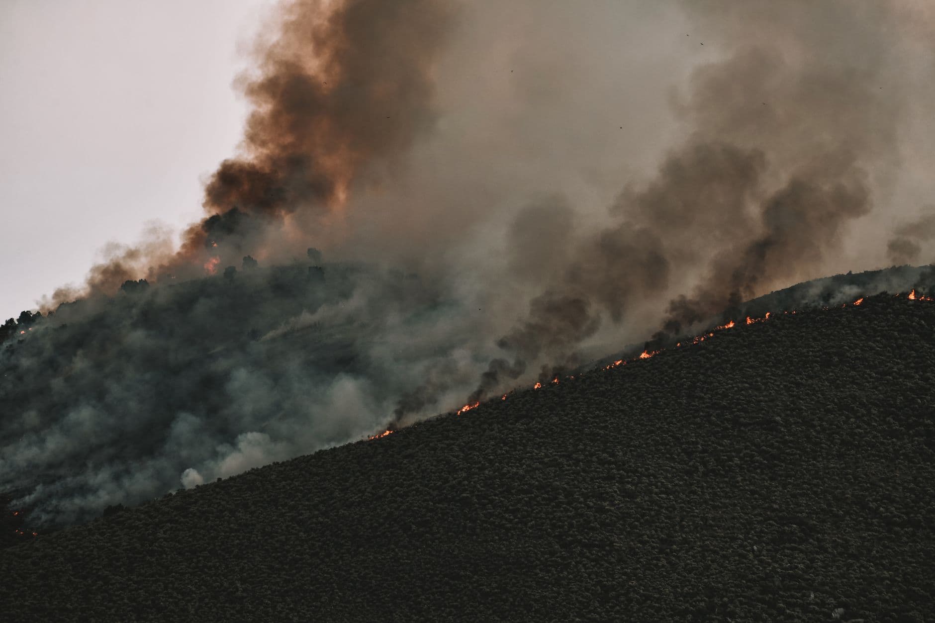 Washington wildfires destroy hundreds of buildings near Spokane, evacuations expand