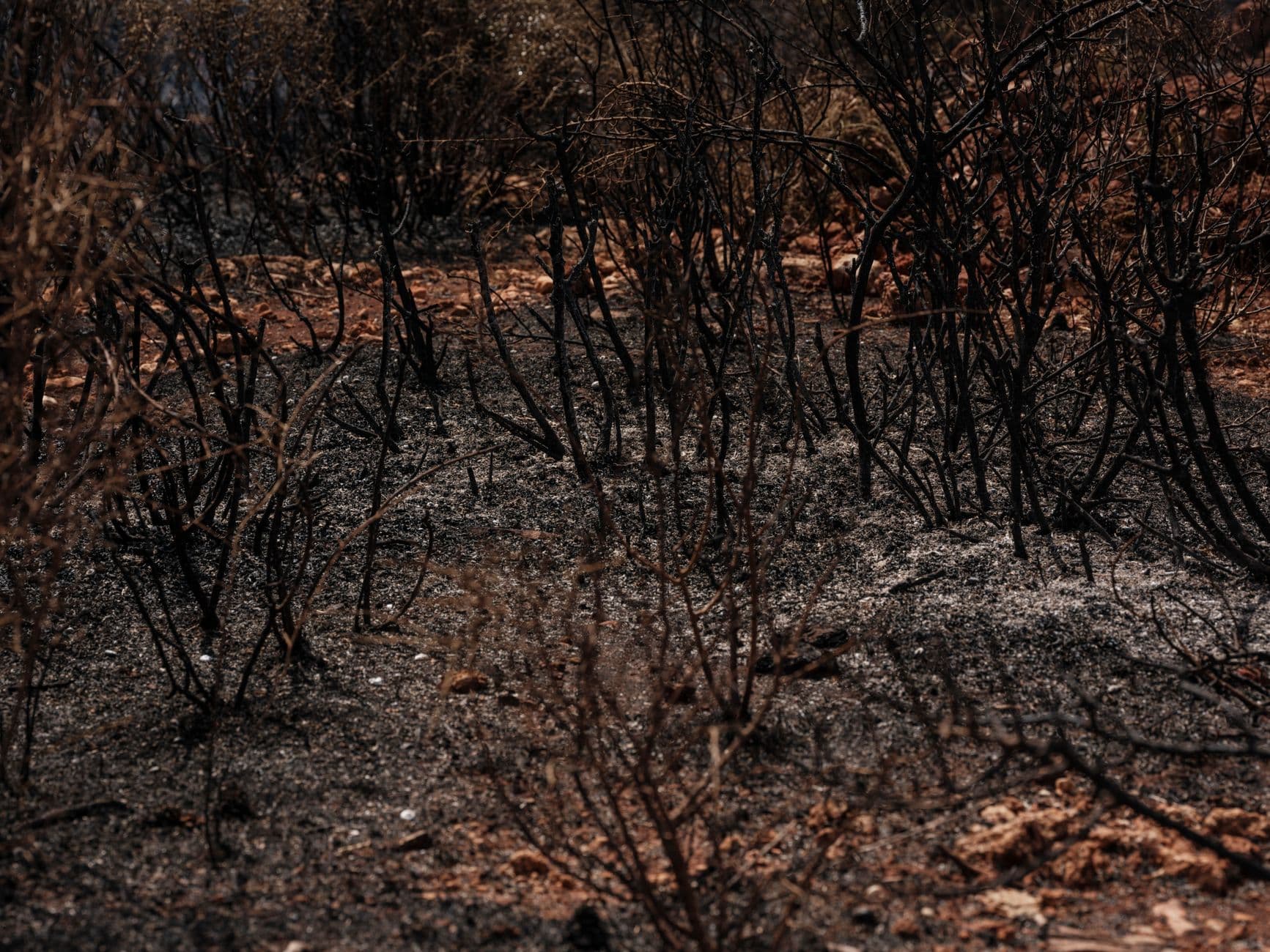 Spokane wildfires destroy hundreds of buildings, force thousands to flee