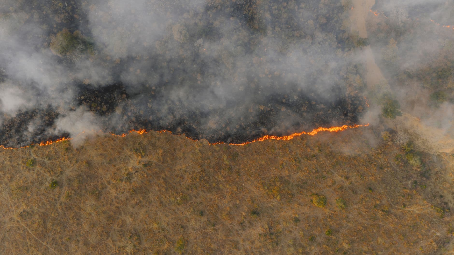 Spokane wildfires destroy 700 buildings, force 60,000 to evacuate