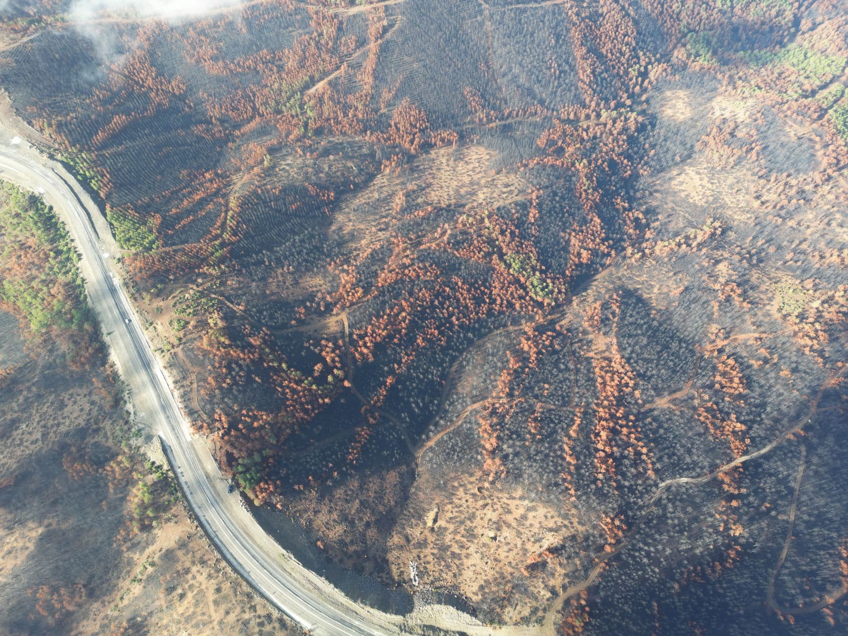 Former official warns Kootenai County faces greater wildfire risk