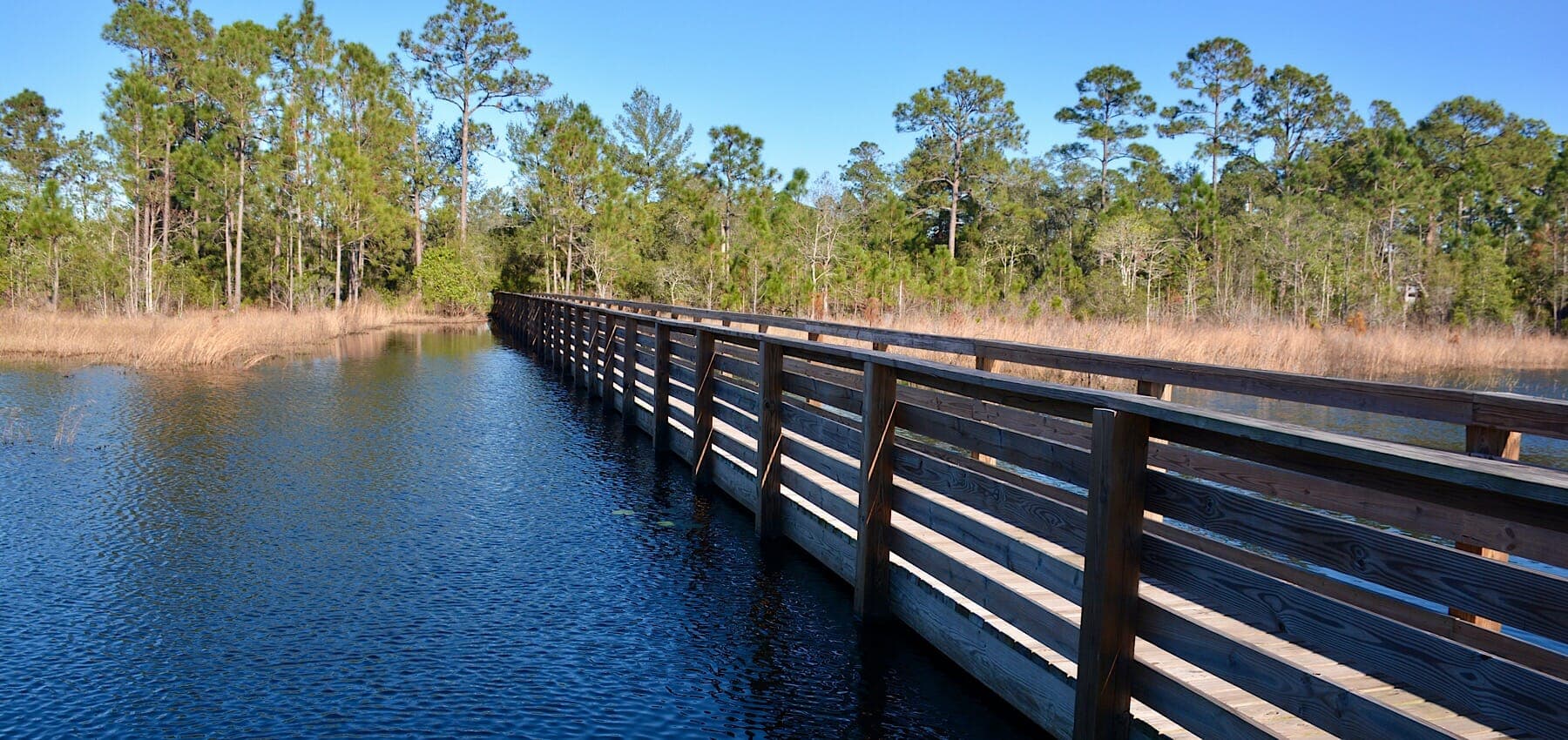 Seminole County's wilderness network offers nine old-Florida escapes