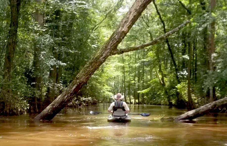 Autauga Creek offers a 13-mile canoe trail from Prattville to the Alabama River