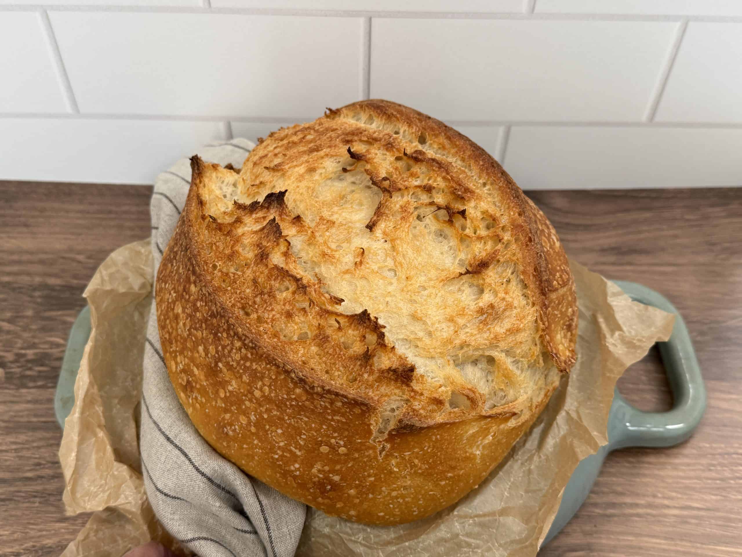 High protein sourdough bread with Greek yogurt goes mainstream