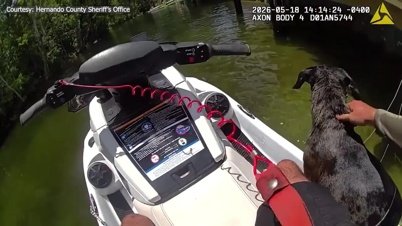 Deputy rescues dog caught in Weeki Wachee River current