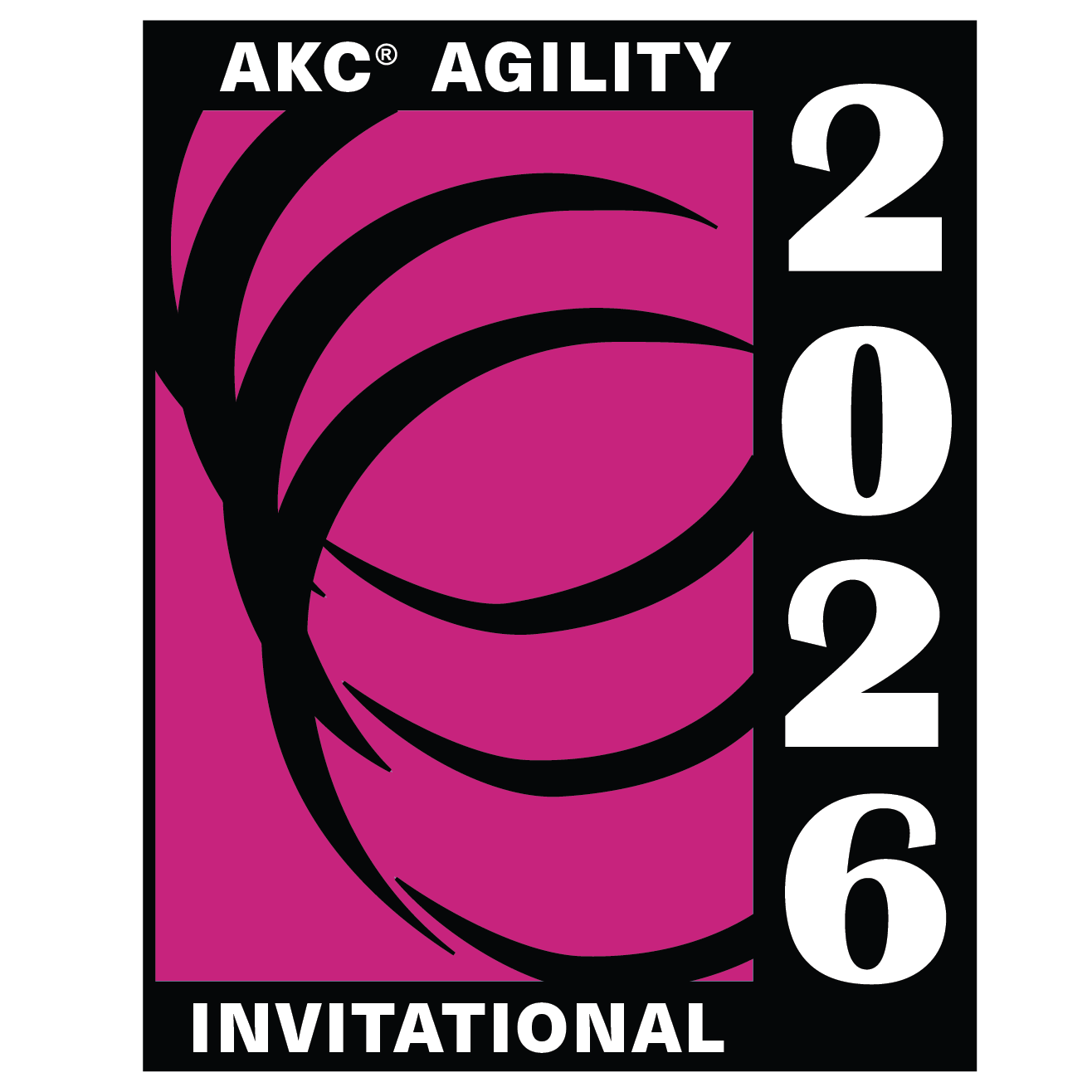 AKC Agility Invitational set for Orlando in December 2026