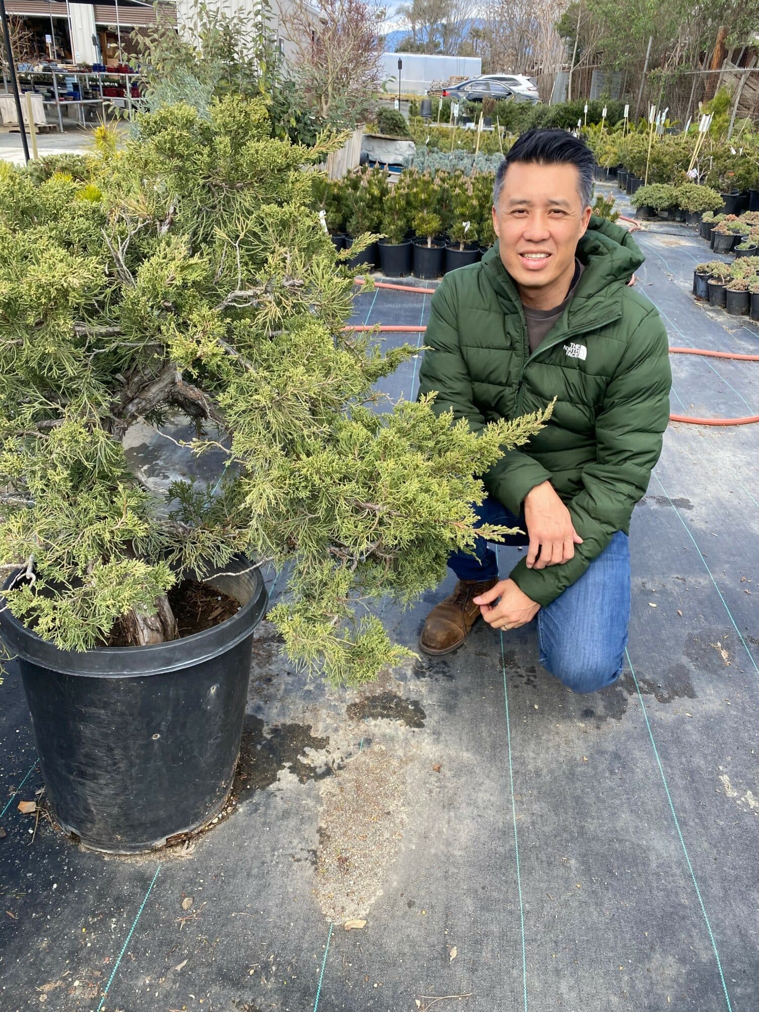 Eastern Leaf hosts hands-on bonsai study group for all levels