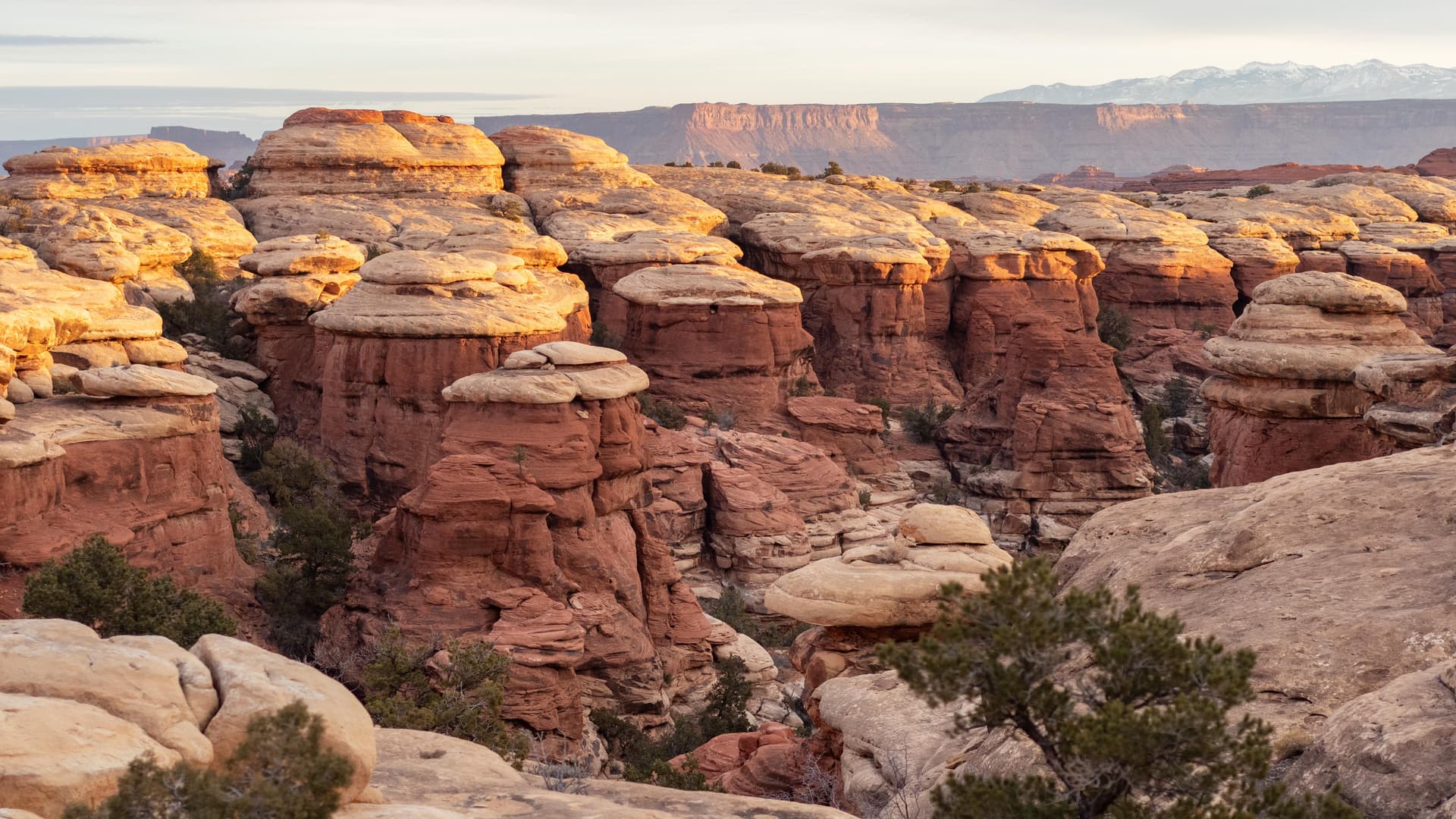 Canyonlands safety guide warns visitors about heat, floods and isolation