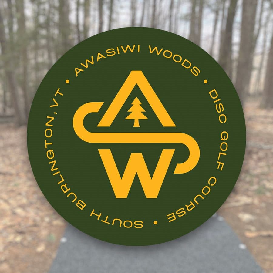 South Burlington opens first disc golf course at school campus